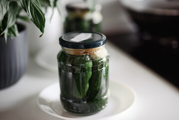 Pickled cucumbers for winter organic food. Canned vegetables cucumber in glass jars on grey background. Space for text.