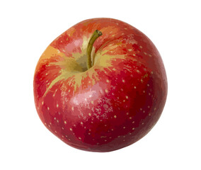 Red juicy apple isolated on white background. Realistic illustration