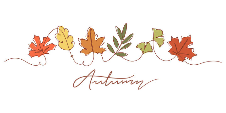 One line drawing of autumn leaves and autumn typography