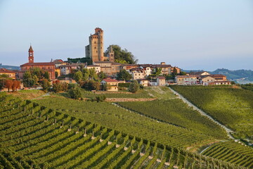 Fototapeta na wymiar The beautiful village of Serralunga d'Alba and its vineyards in the Langhe region of Piedmont, Italy.