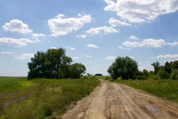 Fototapeta na wymiar Straight dirt road in the countryside.