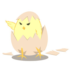 baby birth hatch egg, leader baby chick concept, chicken character, transparent png