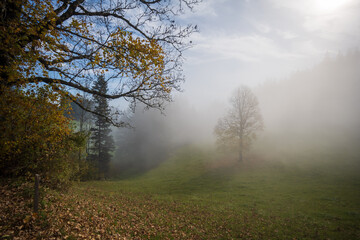 Obraz na płótnie Canvas wafts of fog in the mountains of Austria