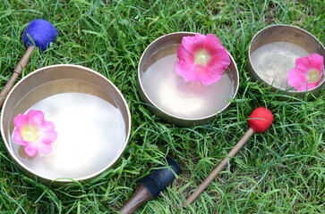 Tibetan singing bowls with water, flowers and sticks on the grass - ancient music instruments for meditation, relaxation, yoga, healing massage. Top view