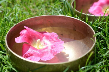 Tibetan singing bowl with water and pink flower close up on the nature grass background  - ancient music instrument for meditation, relaxation, yoga, healing practice, massage