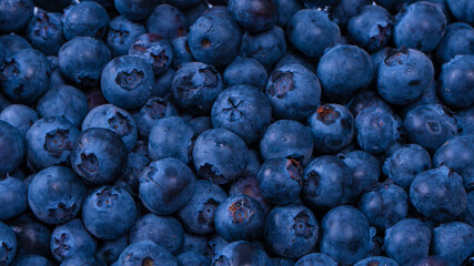 Blueberries in a plastic container isolated on white background.