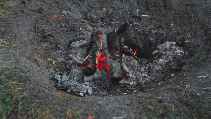 Pieces of Timber Wood Burning in Campfire Creating White Smoke and Ash