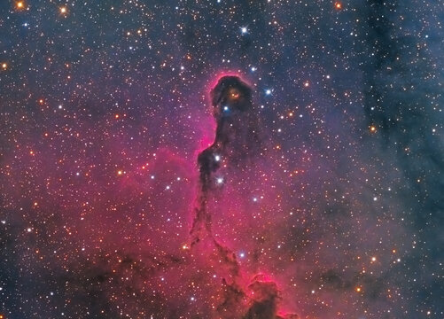 The elephant trunk nebula also known as vdB 142 in the Cepheus constellation. All around the hydrogen gas.