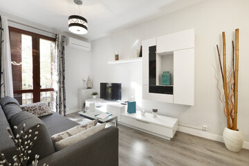 Living room with bright white decorative bookcase, sofa bed upholstered in gray fabric and wooden floors