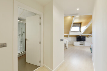 Apartment with sloping ceilings with skylights and access to a bathroom with a shower cabin