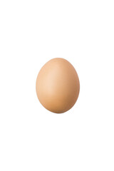 Rhode Island Red Chick EGG on white clear background. Clipping Paths.