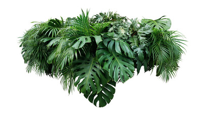 Tropical leaves foliage plants bush floral arrangement nature backdrop on transparent background - 522563542