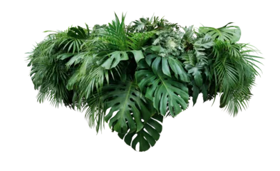 Tuinposter Tropical leaves foliage plants bush floral arrangement nature backdrop on transparent background © Chansom Pantip