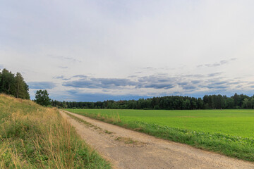 View over a dirt road across meadows to a forest under cloudy sky near Pflaumdorf in Bavaria