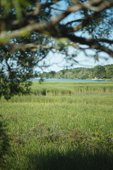 Presquile Provincial Park in Ontario, Canada. 