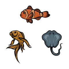 various kinds of sea fish vector design