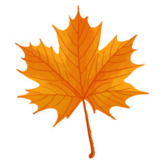Fototapeta premium Watercolor Leaf, Autumn leaves clipart.