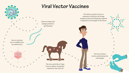 Viral Vector Vaccine Infographic