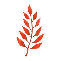 Watercolor Leaf, Autumn leaves clipart.