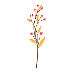 Obraz na płótnie Canvas Watercolor Leaf, Autumn leaves clipart.
