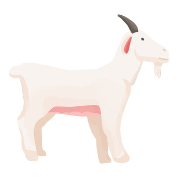 Watercolor Goat, Hand painted farm clipart.