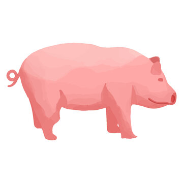 Watercolor Pig, Hand painted farm clipart.