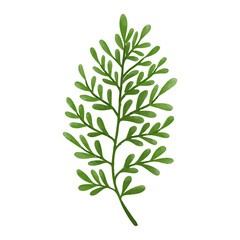 Watercolor Leaf, Green leaves clipart.