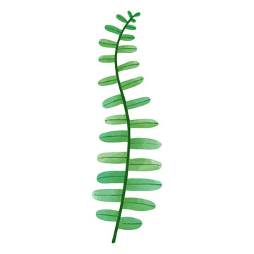 recommend clip art: Watercolor Leaf, Green leaves clipart.