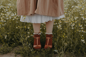 Women's legs in ruffled socks and a skirt in a field of daisies. - obrazy, fototapety, plakaty