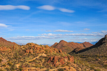 Arizona Landscape