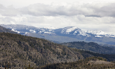 Green field, river and Mountain in the American Landscape. Yellowstone National Park, Wyoming. United States. Nature Background.