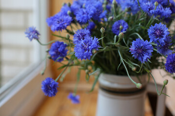 blurred floral background, a bouquet of wild blue cornflowers in a vase by the window