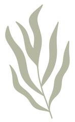 pastel green tropical palm Leaf