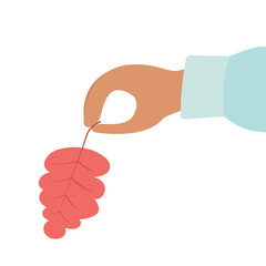Autumn leaf in hand on white background cartoon vector illustration
