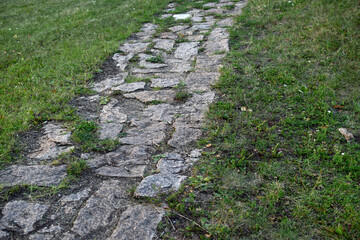 Obraz premium A stone path in the park and a granite staircase with steps. Stone steps in the garden.