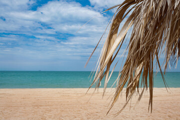 Fototapeta na wymiar Palm Tree Shade Overlooking The Sea Of Cortez