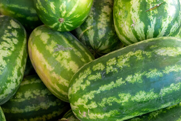 fresh watermelons at a fruit merchant