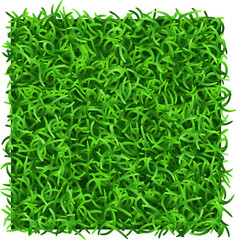 Grass patch top view. Realistic lawn tile