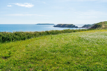 View of countryside in rural Pembrokshire near Marloes, Wales