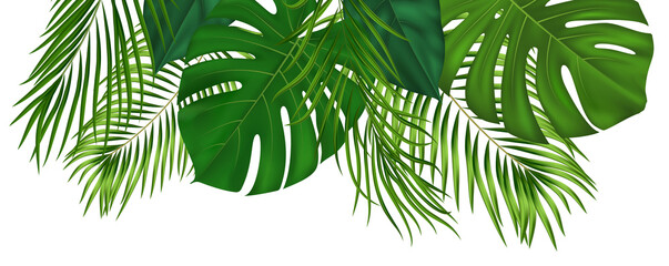 Summer tropical composition with green palm leaves - obrazy, fototapety, plakaty