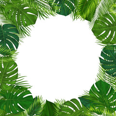 Summer Tropical Background with Green Palm Leaves