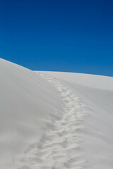 sand dunes in the desert, White Sands National Park, NPS, USA