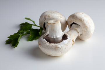 There are three mushrooms on the table. On a white background.