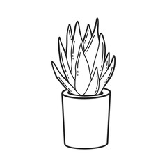 Illustration of succulent in the pot. Botanical drawing for poster design. Nature concept.