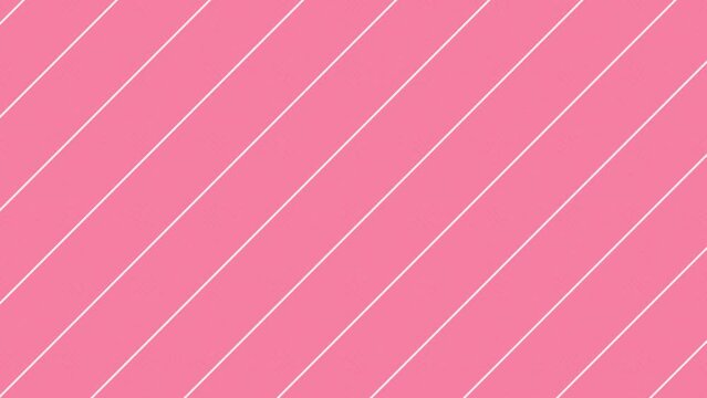 Animated thin white lines on pink background rotated by 45 deg