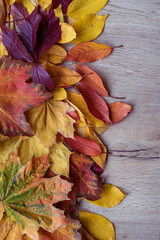Naklejka na ściany i meble Vertical background of colorful autumn leaves