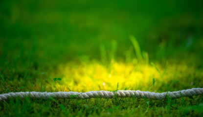 A white rope on the green grass. A long white rope is lying on the ground. Summer background for...