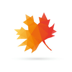 Fototapeta premium Autumn leaf triangle shape abstract isolated on a white backgrounds