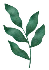Watercolor of Tropical green leaves