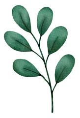 Watercolor of Tropical green leaves